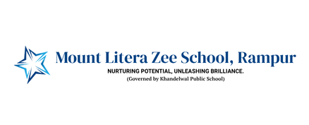 Mount Litera Zee School growth and social media management program